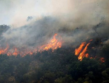 Στον εισαγγελέα 5 Ρουμάνοι για την χθεσινή πυρκαγιά στη Λακωνία